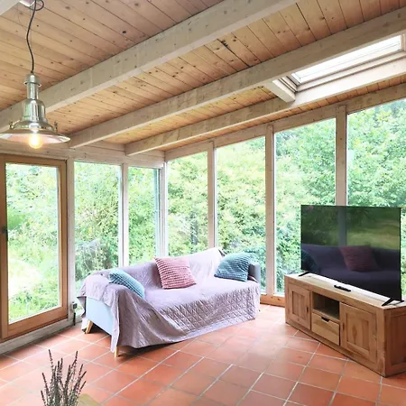 Am Rursee Obst- Und Wintergarten Fuer 8 Personen, 2 Hunde, Familien & Firmen Lejlighed
