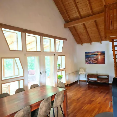 Am Rursee Obst- Und Wintergarten Fuer 8 Personen, 2 Hunde, Familien & Firmen Lejlighed *
